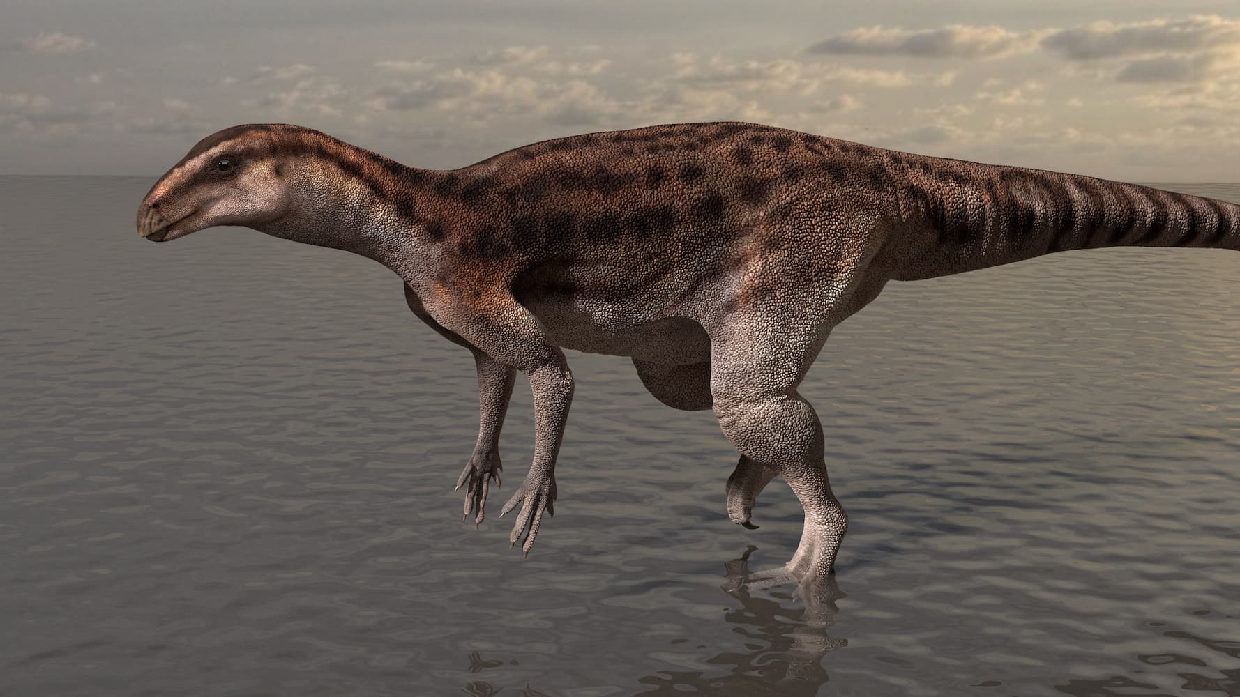 image impression of pisanosaurus like dinosaur responsible for the footprints