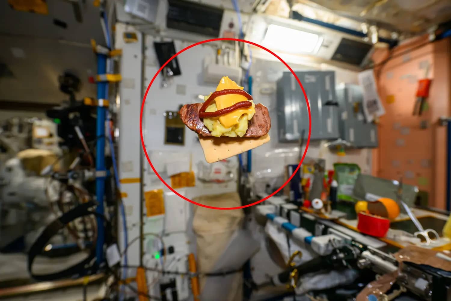 dzhonni kim prygouvav burger u kosmosi krv.media