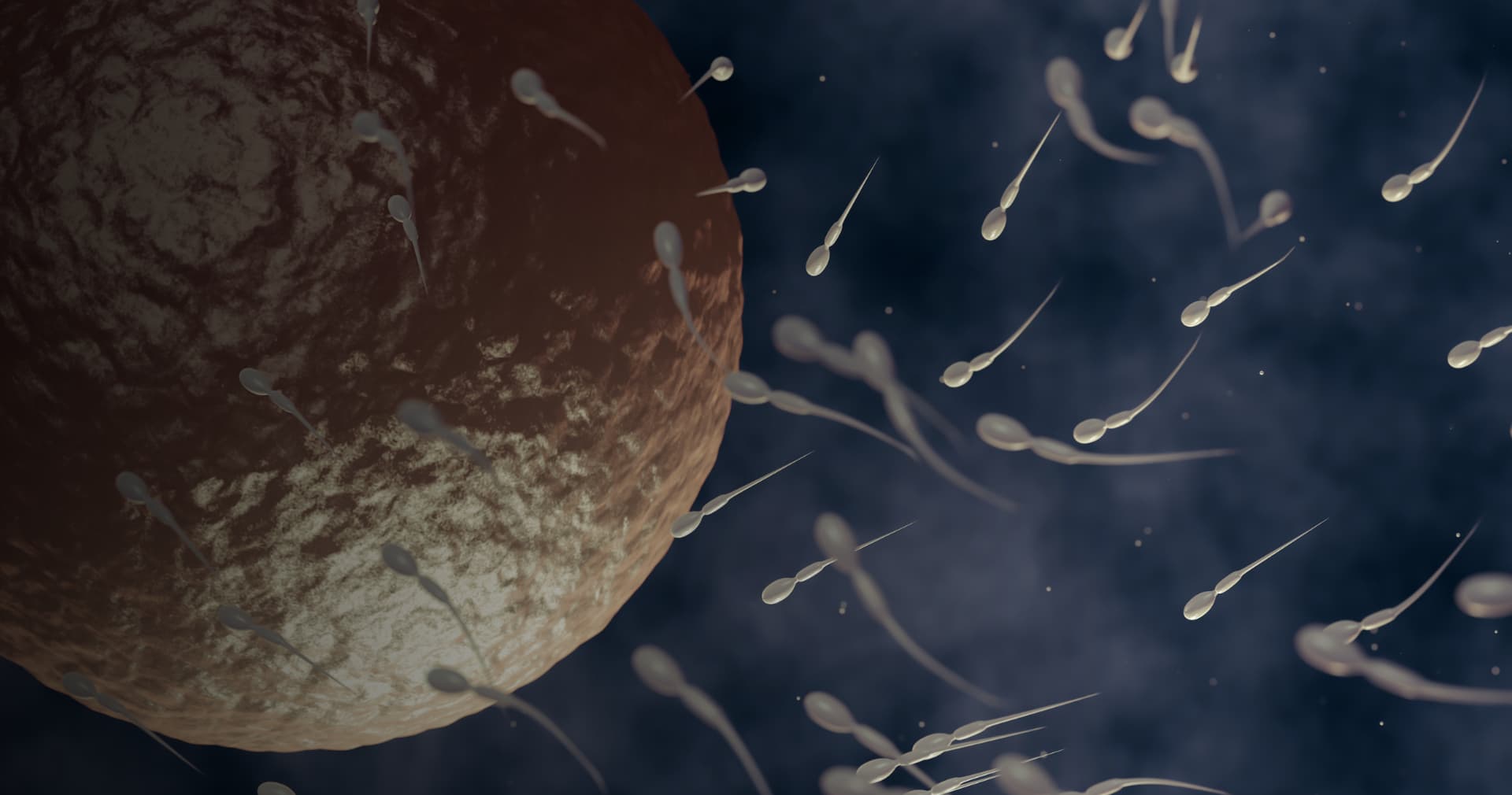Паразит Toxoplasma може «обезголовлювати» людську сперму