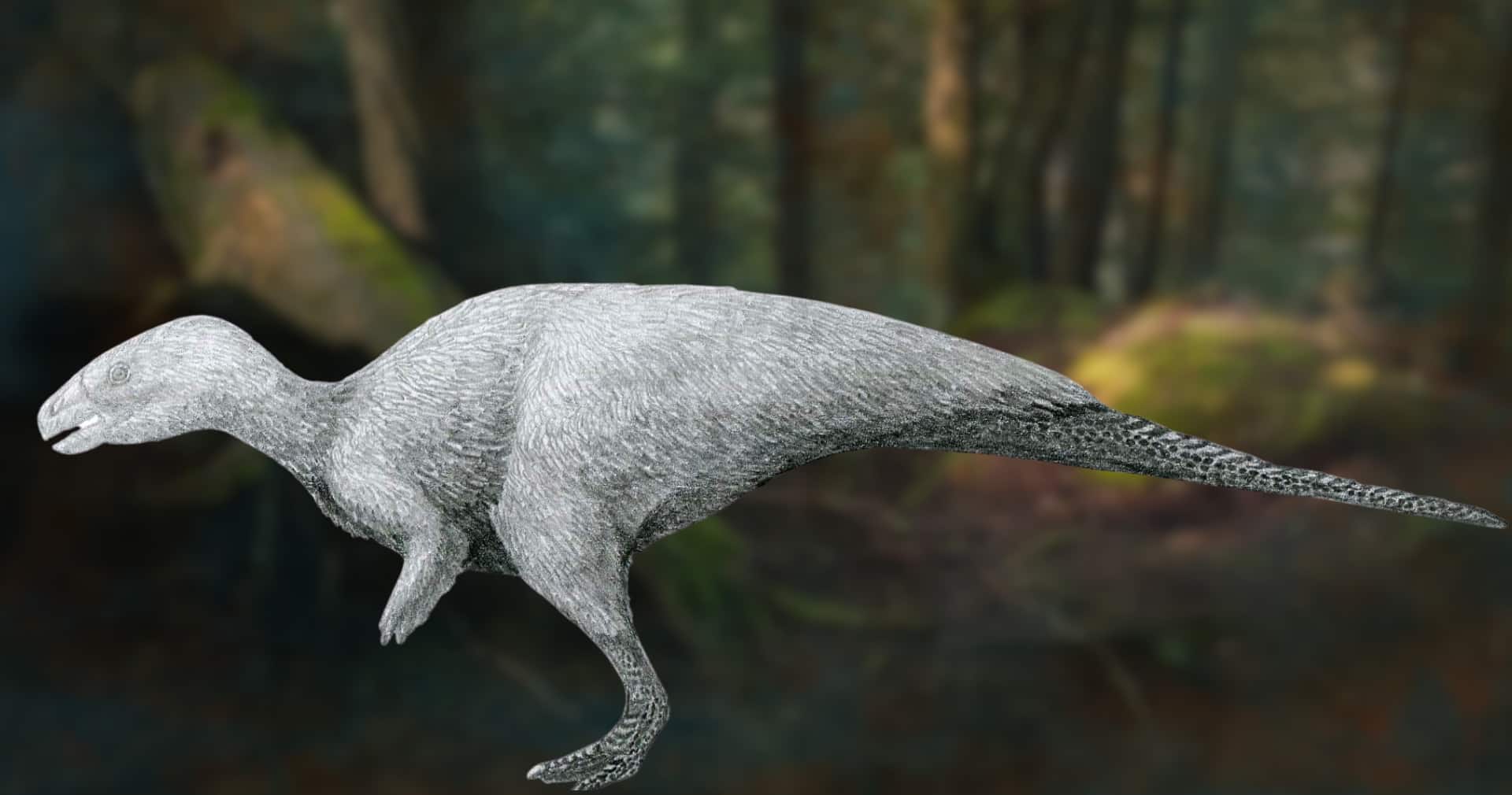 rodyna rabdodontydiv rhabdodontidae rekonstrukcziya krv.media