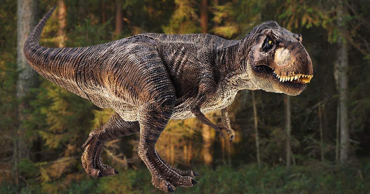 Tyrannosaurus rex — вчені відкрили нові факти про динозавра