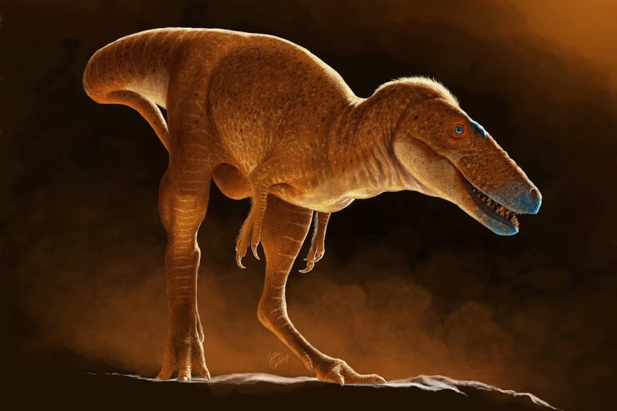 khankhuuluu mongoliensis krv.media