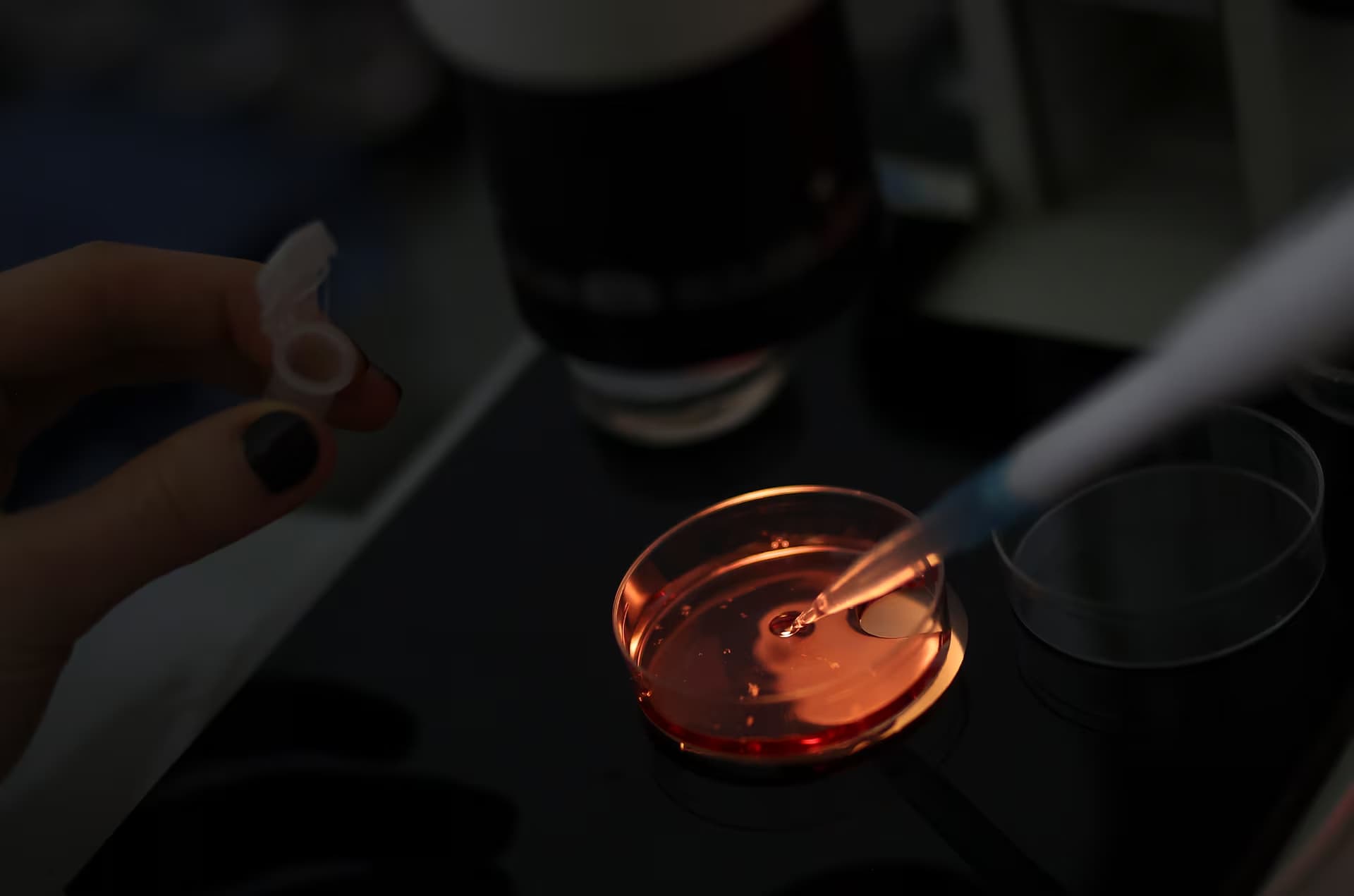 spivrobitnyk kheiron biotech sortuye yajczeklityny krv.media