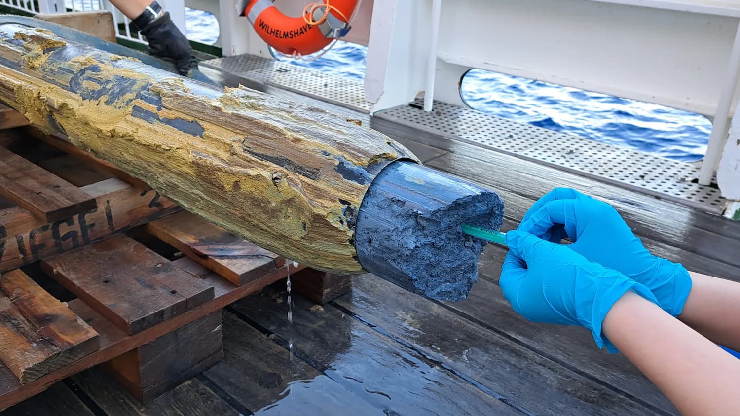 У блакитному вулканічному мулі вчені знайшли мікроби