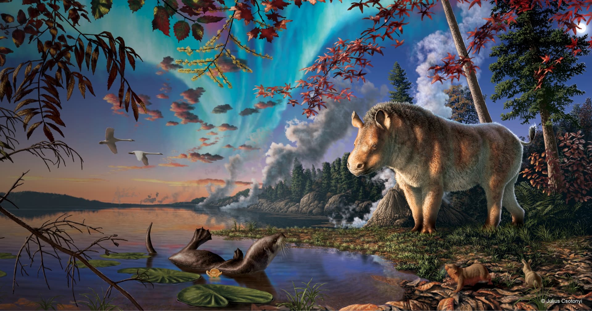 У канадській Арктиці знайшли новий вид давнього носорога