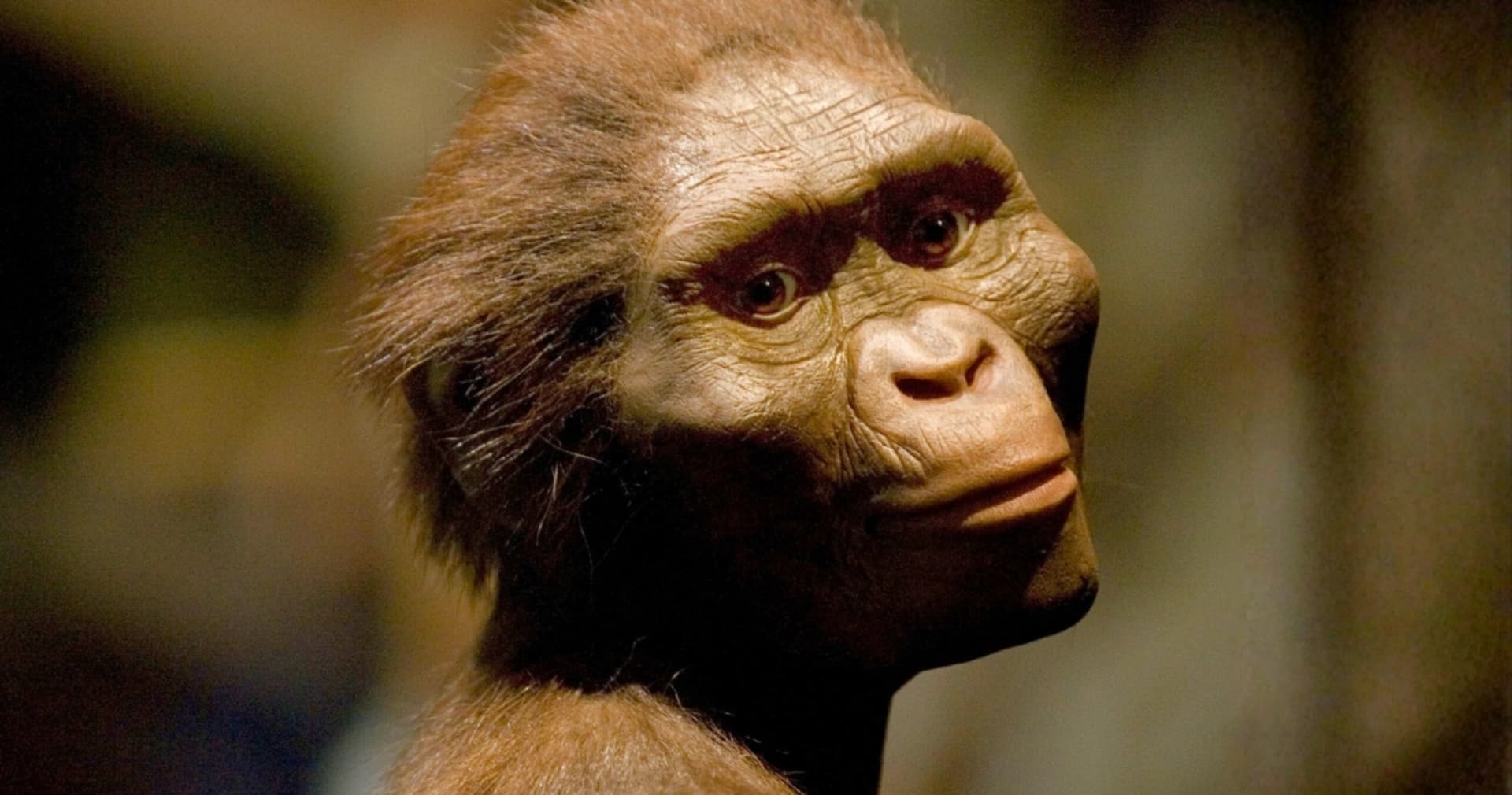 Вчені знайшли ще одного предка людини біля стоянки «Люсі»