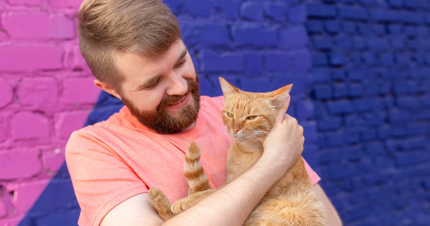 Коти вдвічі частіше нявкають на чоловіків — дослідження