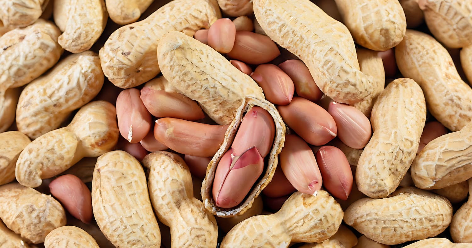 syryj arahis krv.media